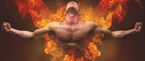 Increase Metabolism Free Ttestosterone Boost.jpg