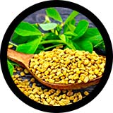 Fenugreek: Male UltraCore Ingredient